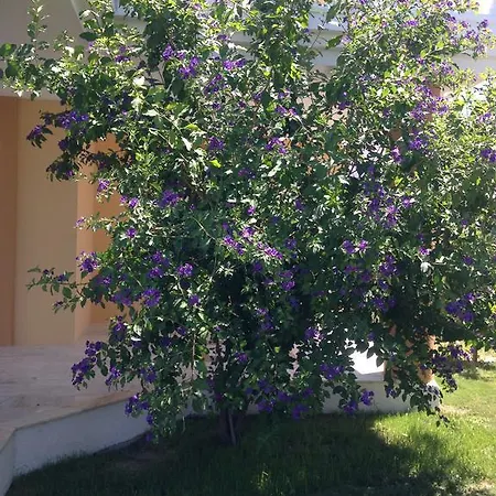 Gerence Butik Bed and Breakfast *